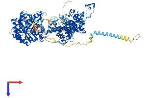 AlphaFold protein structure predicition of Mouse Recombinant Klb Protein, UniprotID Q99N32