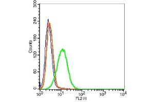 A549 cells probed with 	VEGFR3 Polyclonal Antibody, Unconjugated  at 1:100 for 30 minutes followed by incubation with a conjugated secondary (PE conjugated) (green) for 30 minutes compared to control cells (blue), secondary only (light blue) and isotype control (orange).