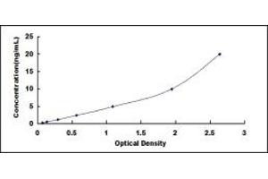Typical standard curve (OPTC Kit ELISA)