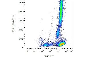 Flow cytometry analysis (surface staining) of human peripheral blood with anti-CD43 (MEM-59) FITC.