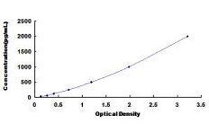 ELISA image for Frizzled-Related Protein (FRZB) ELISA Kit (ABIN421485)