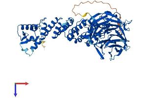 AlphaFold protein structure predicition of Mouse Recombinant Klhl21 Protein, UniprotID Q3U410