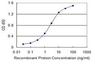 Detection limit for recombinant GST tagged VASH1 is 0. (VASH1 anticorps  (AA 3-100))