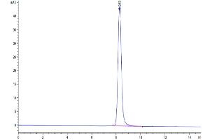 The purity of Cynomolgus EPHB2 is greater than 95 % as determined by SEC-HPLC.