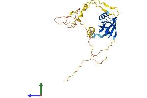 AlphaFold protein structure predicition of Mouse Recombinant Pdzd9 Protein, UniprotID Q9D9M4