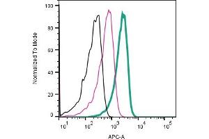 Cell surface detection of GLUT1 by direct flow cytometry in live intact human Jurkat T-cell leukemia cells: + Rabbit IgG Isotype control-APC (ABIN7582043).