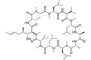 Image no. 2 for Cyclosporin A (CsA) peptide (BSA) (ABIN5665959) (Cyclosporin A (CsA) peptide (BSA))