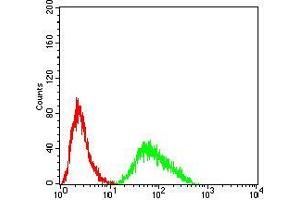 Flow cytometric analysis of Hela cells using SH3GL1 mouse mAb (green) and negative control (red).