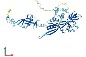 AlphaFold protein structure predicition of Mouse Recombinant Nmd3 Protein, UniprotID Q99L48