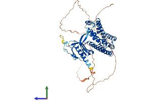 AlphaFold protein structure predicition of Human Recombinant ARHGEF3 Protein, UniprotID Q9NR81