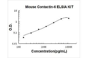 Contactin 6 (CNTN6) ELISA Kit