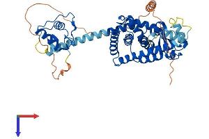 AlphaFold protein structure predicition of Mouse Recombinant Ppara Protein, UniprotID P23204