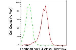 Flow cytometric analysis of Forkhead box P4 expression in HepG2 cells using Forkhead box P4 antibody (ABIN7798653), 1:2,000). (FOXP4 anticorps)