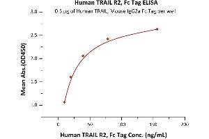 Immobilized Human TRAIL, Mouse IgG2a Fc Tag (ABIN6933657,ABIN6938881) at 5 μg/mL (100 μL/well) can bind Human TRAIL R2, Fc Tag (ABIN2181869,ABIN2181868) with a linear range of 0. (TNFRSF10B Protein (AA 56-182) (Fc Tag))