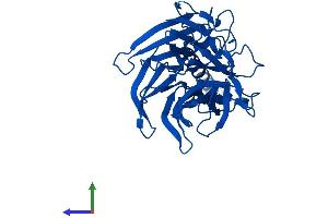 AlphaFold protein structure predicition of Human Recombinant PON2 Protein, UniprotID Q15165