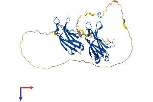 AlphaFold protein structure predicition of Human Recombinant DOC2B Protein, UniprotID Q14184