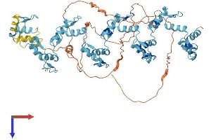 AlphaFold protein structure predicition of Human Recombinant ZNF16 Protein, UniprotID P17020