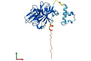 AlphaFold protein structure predicition of Mouse Recombinant Spsb2 Protein, UniprotID O88838