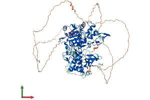 AlphaFold protein structure predicition of Human Recombinant DNMT3B Protein, UniprotID Q9UBC3