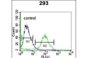 OR4F15 Antibody (N-term) (ABIN655291 and ABIN2844880) flow cytometric analysis of 293 cells (right histogram) compared to a negative control cell (left histogram).