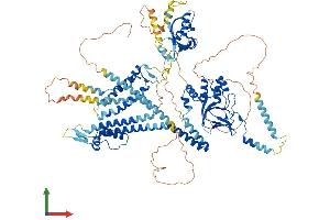 AlphaFold protein structure predicition of Mouse Recombinant Kcnh1 Protein, UniprotID Q60603