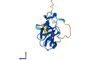 AlphaFold protein structure predicition of Human Recombinant FAM72B Protein, UniprotID Q86X60