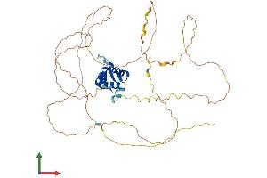 AlphaFold protein structure predicition of Human Recombinant FOXF2 Protein, UniprotID Q12947