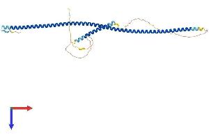 AlphaFold protein structure predicition of Mouse Recombinant Ndel1 Protein, UniprotID Q9ERR1