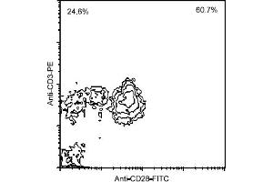 Flow Cytometry (FACS) image for anti-CD28 (CD28) antibody (FITC) (ABIN371358) (CD28 anticorps  (FITC))
