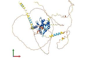 AlphaFold protein structure predicition of Human Recombinant ARID3B Protein, UniprotID Q8IVW6