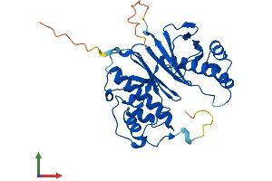 AlphaFold protein structure predicition of Human Recombinant AASDHPPT Protein, UniprotID Q9NRN7