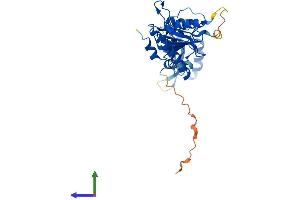 AlphaFold protein structure predicition of Mouse Recombinant Adat3 Protein, UniprotID Q6PAT0