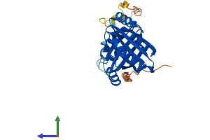 AlphaFold protein structure predicition of Mouse Recombinant Nipsnap1 Protein, UniprotID O55125