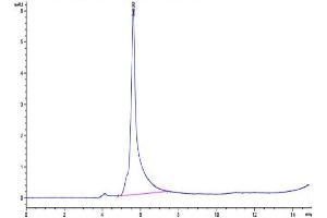 The purity of  Human LILRB2 is greater than 95 % as determined by SEC-HPLC.