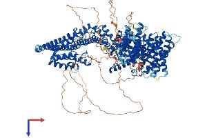 AlphaFold protein structure predicition of Mouse Recombinant Stag2 Protein, UniprotID O35638