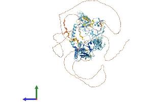 AlphaFold protein structure predicition of Human Recombinant NFX1 Protein, UniprotID Q12986