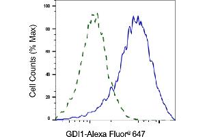 Validation of GDI1 knockdown using flow cytometry. (GDI1 anticorps)