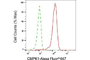 Flow cytometric analysis of CMPK1 expression in HepG2 cells using CMPK1 antibody (ABIN7798241), 1:1,000). (Cytidine Monophosphate (UMP-CMP) Kinase 1, Cytosolic (CMPK1) anticorps)