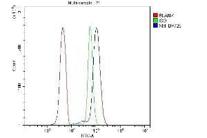 anti-N-Myc (And STAT) Interactor (NMI) (AA 2-307) antibody