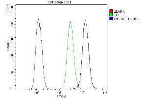 Flow Cytometry analysis of U20S cells using anti-TNFRSF11B antibody (ABIN7600875).