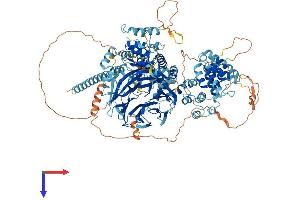 AlphaFold protein structure predicition of Mouse Recombinant Hps5 Protein, UniprotID P59438