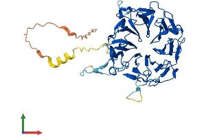 AlphaFold protein structure predicition of Human Recombinant RCC1L Protein, UniprotID Q96I51