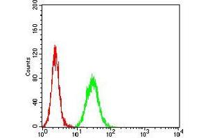 Flow cytometric analysis of Hela cells using THBS1 mouse mAb (green) and negative control (red).