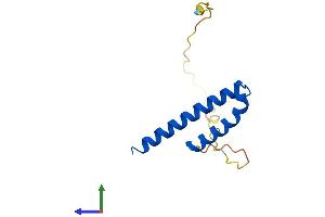 AlphaFold protein structure predicition of Human Recombinant CDK2AP1 Protein, UniprotID O14519