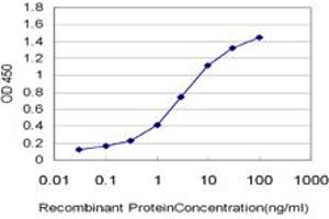 Detection limit for recombinant GST tagged EPHB3 is approximately 0. (EPH Receptor B3 anticorps  (AA 899-997))