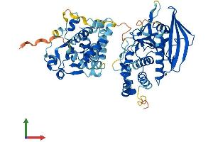 AlphaFold protein structure predicition of Human Recombinant PTPN9 Protein, UniprotID P43378