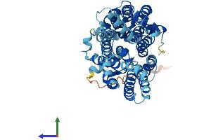 AlphaFold protein structure predicition of Mouse Recombinant Slc2a3 Protein, UniprotID P32037
