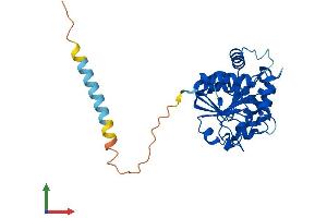 AlphaFold protein structure predicition of Mouse Recombinant St6galnac3 Protein, UniprotID Q9WUV2