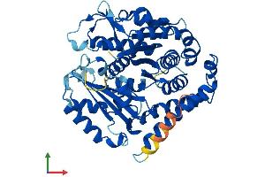 AlphaFold protein structure predicition of Mouse Recombinant Tubb3 Protein, UniprotID Q9ERD7