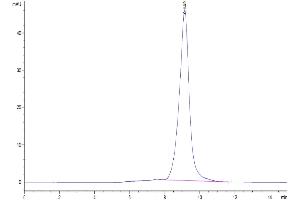 The purity of Cynomolgus LILRB2 is greater than 95 % as determined by SEC-HPLC.